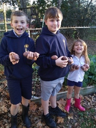 Ready, Set, Grow! January 2021
